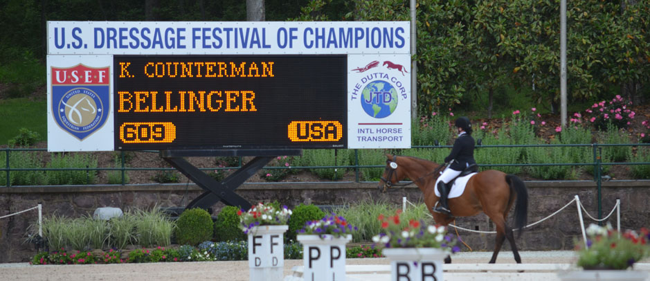 CounterCanter Dressage